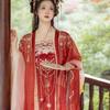 Womens Tang Dynasty Style Hanfu Set With Heavy Embroidery Wide Sleeve Top High-Waist Skirt