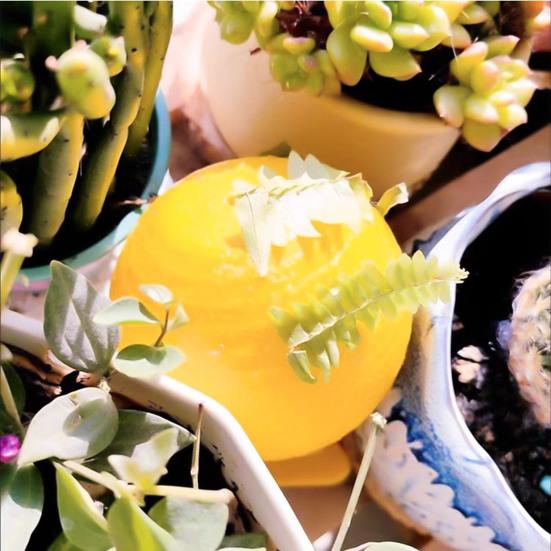 2/3/5Pcs Fly Restaurant Trap Ball with Sticky Kitchen Small Flying Animals