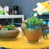 5pcs 6/8/10/12 Inch Drip Trays Round Planter Mat Plastic Flower Pot Tray  Potted Plant