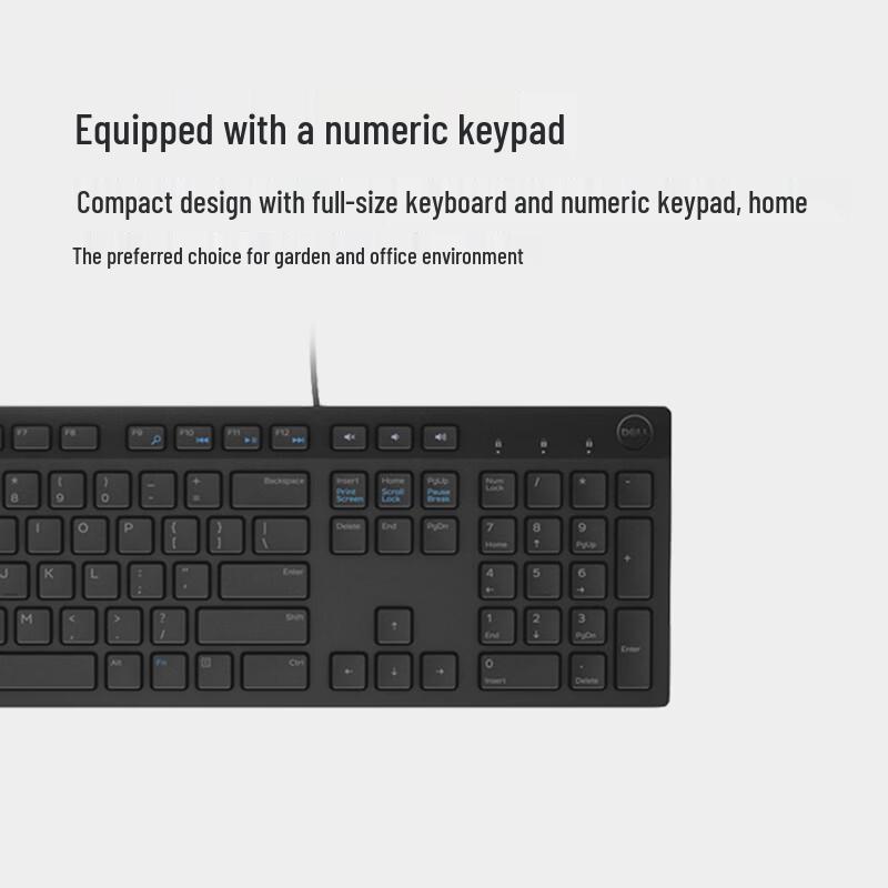 Dell KB216 Wired Keyboard and MS116 Mouse Combo