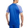 Nike Dri Fit Academy T Shirt Men's Blue IB8761-450