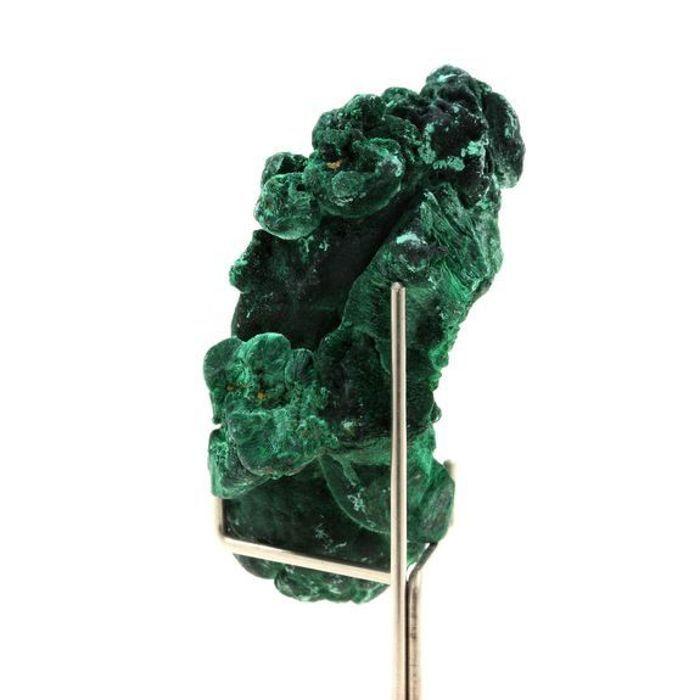 Pierres et Minéraux. Malachite. 286.5 ct. Katanga, Congo.