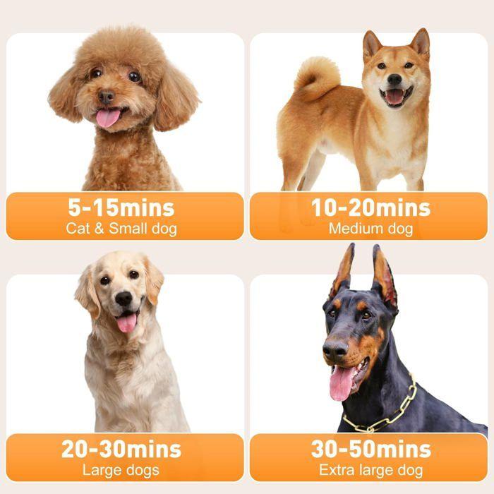 Professional 2800 W Dog Grooming Dryer with Adjustable Speed and Temperature