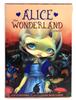 Oracle Cards – Mystical Divination Deck for Spiritual Guidance, Intuitive Reading & Daily Affirmations less