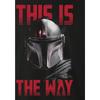Star Wars The Mandalorian Mens T-Shirt