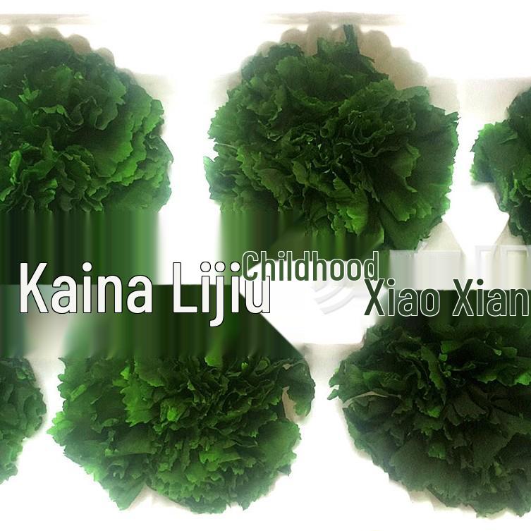 Preserved Yunnan Carnation Flowers – Perfect Mother’s Day and Birthday Gift
