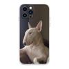 Смешной Чехол для Телефона с Собакой Бультерьер Для iPhone 17 16,15,14,13,12,11 Plus,Pro,Max,XR,Plus,E,Mini Прозрачный Мягкий Чехол