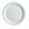Disposable Paper Plate - Eco Plates - For Barbecue