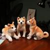 Милая мягкая игрушка Акита-ину Kawaii Shiba Inu, плюшевая игрушка-животное, имитация трубы, кукла для собак, детский комфортный сон, кукла, подарок на день рождения для девочки