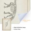 Холст Живопись Скандинавские Постеры и Принты Винтажный Скелет Динозавра Палеонтология Настенное Искусство Настенные Картины Для Мальчика Детская Комната Декор