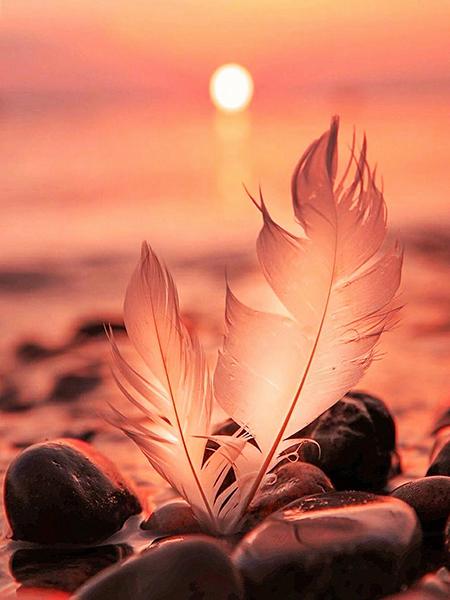 5D DIY алмазная живопись закат набор для вышивки крестом Алмазная вышивка перо мозаика пейзаж распродажа картина стразы искусство