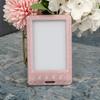 Shockproof Protective Cover Badge-style Portable Cover for XTEINK X3 X4 E-Reader Protection