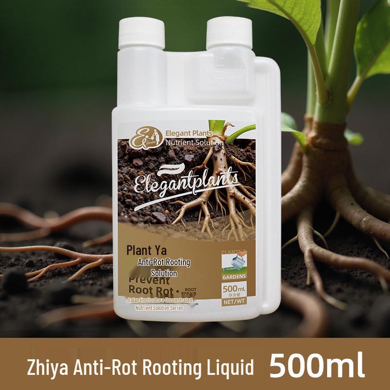 Zhiya Root Cure 500g: Prevents Root Rot, Fusarium Wilt, and Supports Weak Roots & Growth.
