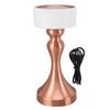Table Lamp 3 Modes Stepless Dimmable LED Touch Cordless Metal Nightstand Lamp for Bedside Living