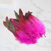 50 Pieces Feathers for Crafts Chicken Feather Decorations Handicraft Accessories Wedding Hats