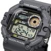 CASIO Цифровые мужские наручные часы График приливов и отливов Отображение данных о фазах Луны Функция WS-1700H-8AV Темно-серый Зарубежная модель