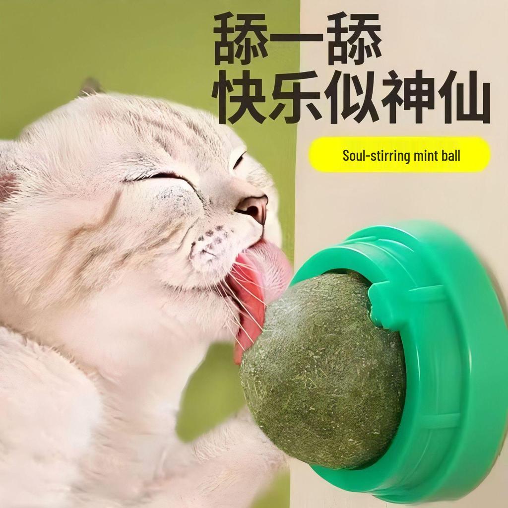 Catnip Ball Toy: Teeth-Cleaning, Bite-Resistant, Self-Play Rotating Teaser for Cats