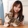 Новая Кукла Кот Кукла Милая Плюшевая Игрушка Маленький Цветочный Кот Кот Звезда Кукла