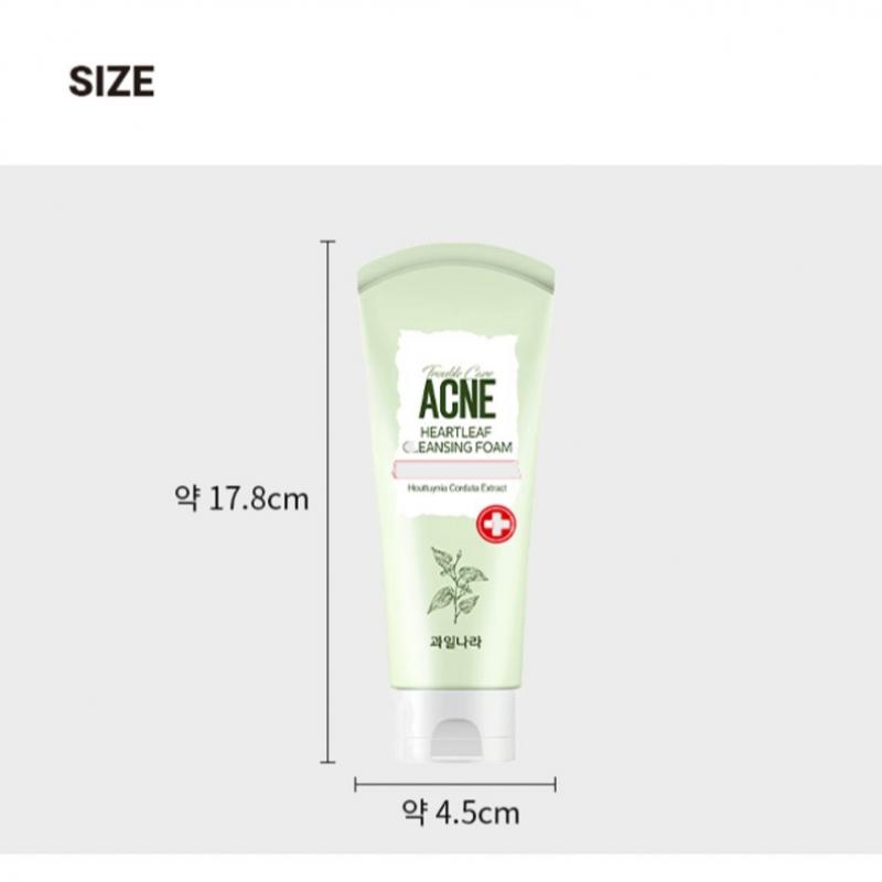 Фруктовая страна Сезонная сказка Houtseongcho Trouble Care очищающая пенка