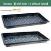 Thickened Plastic Succulent Seedling Tray for Cultivation & Cutting