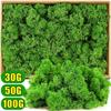 1 комплект Мох для моделирования цветов Мох для горшечных растений Искусственная трава Искусственный зеленый мох