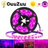 DC 5V USB LED Grow Lights 1m 2m 3m Full Spectrum Phyto Lamp Strip For Seeds Flower Greenhouse Tent Hydroponic Plants Lighting