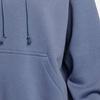 Nike Sweatshirts Women's Blue Hooded Moderate