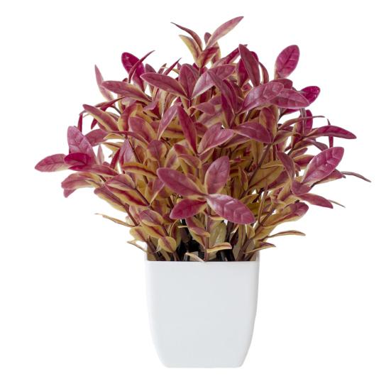 Привлекательные зеленые мини-орнаменты тонкой работы бонсай