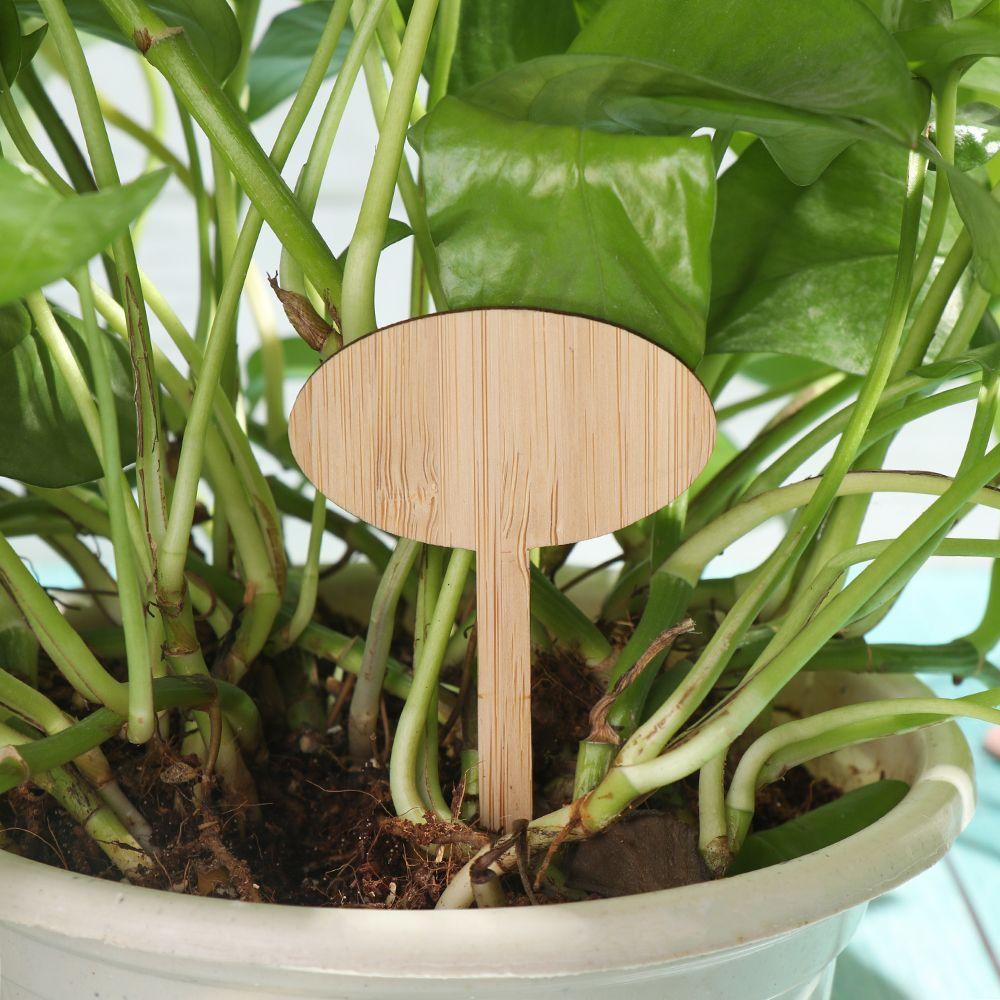 Маркеры для растений Горшки для рассады Метки для посадки Изделия из бамбука Украшения для бонсай Сад Деревянные этикетки