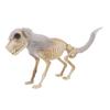    Standing Dog Skeleton Halloween Prop for   Decor  