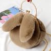 Plush Rabbit Bag Women Cute Handheld Plush Bag Autumn Winter Girls Chain Crossbody Bags Rabbit Ear Clip Bag