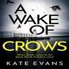 A Wake of Crows by Kate Evans Hardback Book 9781472134752