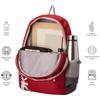 Skybags Brat Wine Red 46 Cms Casual Standard Backpack