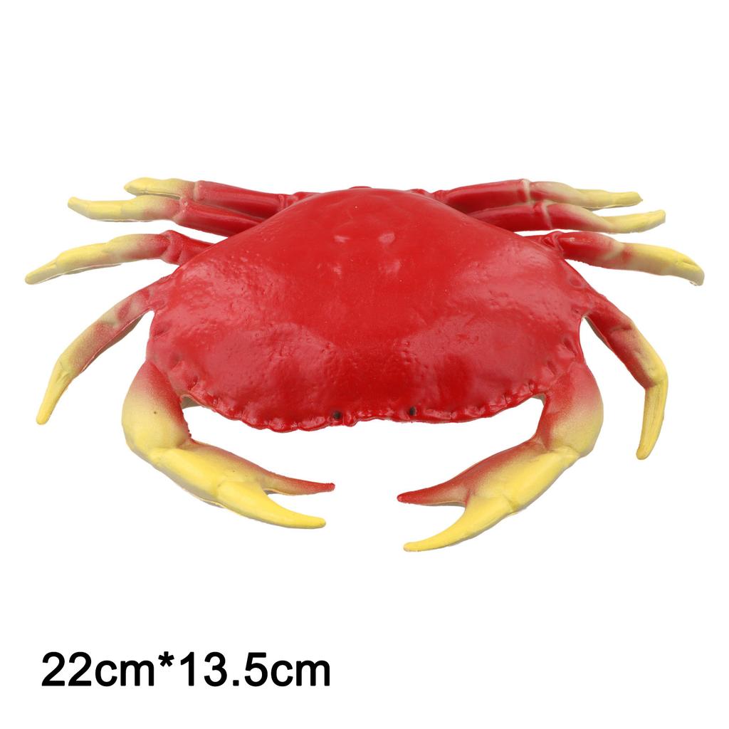 Plastic Lobster Model Simulation Lobster Detailed Craftsmanship