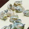 10Pcs, Natural Whelks Shell Zinc Alloy Silvery Edge Pendant Charms for DIY Necklace Accessories, Creative Jewelry Making, Women Men Bulk Crafts Gifts