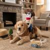 Adjustable Dog Riding Denim Clothing Novelty Cat Party Dressed Up Halloween Dog Clothes  Gift