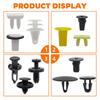 146PCS Car Door Hood Bumper Trim Panel Clips Body Retainer Fender Set for Toyota