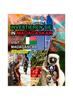 Книга INVESTIEREN SIE IN MADAGASKAR - Visit Madagascar - Celso Salles : Investieren Sie In Die Afrika-Sammlung