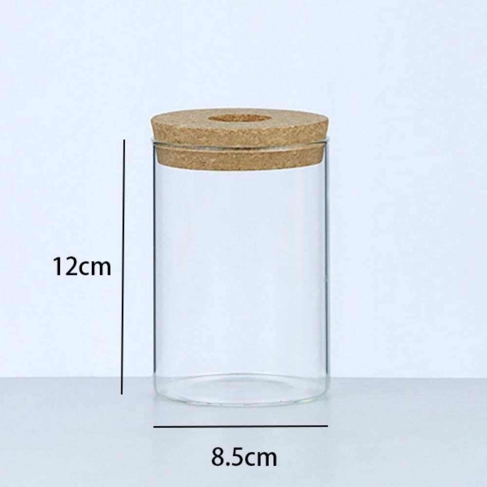 Прозрачный гидропонный цветочный горшок, мини-террариум, украшение для дома, стеклянная ваза