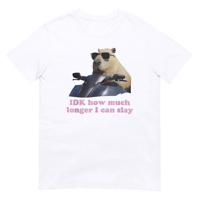 Women Funny Capybara Meme Graphic Soft Tee IDK How Much Longer I Can Slay T Shirt Casual Streetwear Comfortable Female Clothes