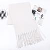 Imitation Cashmere Scarf for Women Winter Warm Thickening New Solid Color Scarf for Men Thick Tassel Woolen Scarf