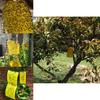 Timeless 5pcs Outdoor Yellow Sticky Glue Flying Pest Insect Papers Traps For All Your Gardening Needs