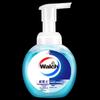 Walch Foaming Antibacterial Hand Wash
