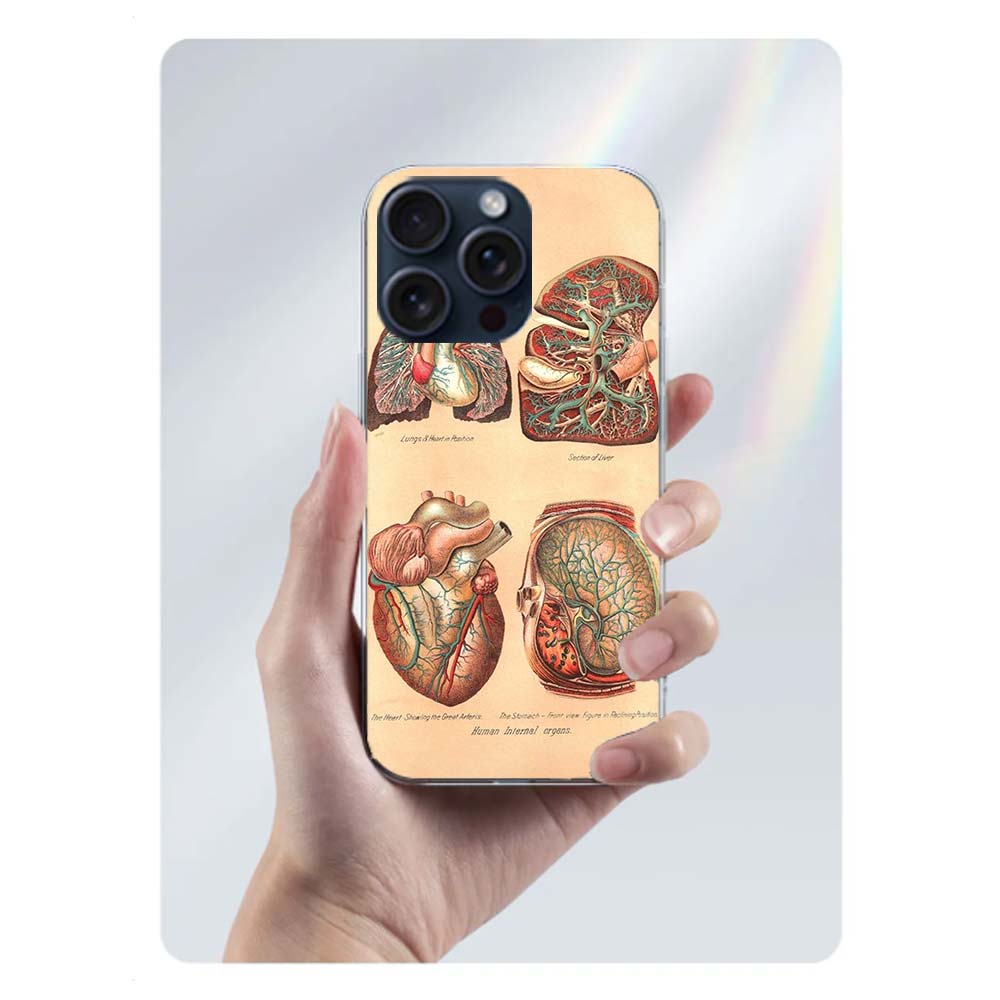 Медицинский Человеческие Органы Мозг Чехол Capa Для Телефона Для Iphone 17 Air 16 Pro Max 15 12 Pro 14 Plus 17E 16E 11 13 Mini Чехлы Fundas