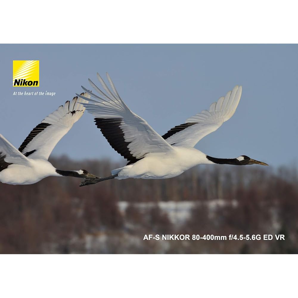 Nikon telephoto zoom lens AF-S NIKKOR 80-400mm f/4.5-5.6g ED VR full size compatible