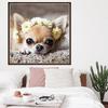 5D Diy Diamond Painting Cute Dog Diamond Embroidery Chihuahua Cross Stitch Rhinestone
