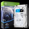 Seagate SkyHawk AI Surveillance Hard Drive
