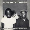 12-дюймовая пластинка FUN BOY THREE - The Tunnel Of Love CHS122678 Chrysalis 1983 UK & Европа Рок Б/У