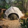 Stable Reptile Habitat Realistic Hidden Cave Shelter  for Lizards Turtles