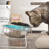 9°Tilted Angle Elevated Pets Feeders Anti Slip Cat Dish with Stand Raised Dog Feeding Basin  Puppy